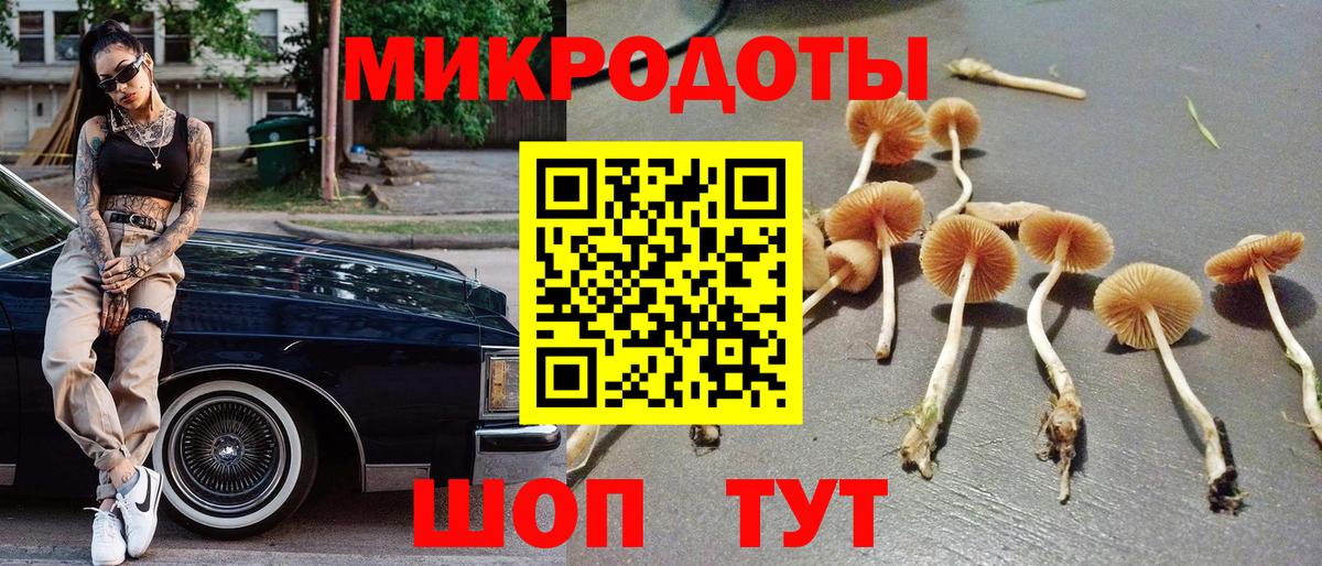 Черняховск  Галлюциногенные грибы прущие грибы  Вход с VPN 